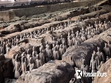 Mini Group: Daily VIP Xian Terracotta Warriors and City Discovery Tour