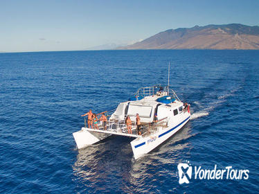Molokini and Turtle Town Snorkeling Adventure Molokini and Turtle Town Snorkeling Adventure