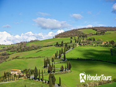 Montepulciano and Pienza Tuscany Full Day Tour from Rome