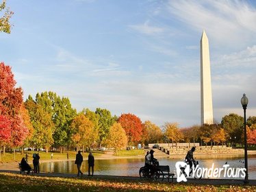Monuments of DC Segway Tour