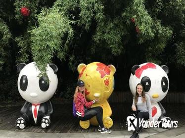 Morning Trip of Giant Panda Base in Chengdu
