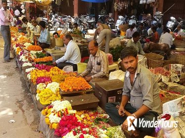 Morning Visit to Flower Market with Tiger Fort and Monkey Temple Transfers