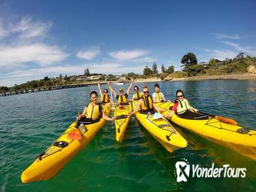 Mornington Peninsula Kayak Coastline Tour of Dolphin Sanctuary