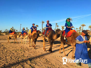Moroccan Desert 3-Day Tour from Marrakech