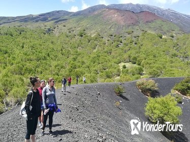 Mount Etna Half-Day Tour