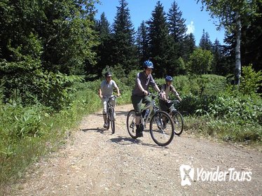 Mountain Bike Tour from Sapporo Including Hoheikyo Onsen and Lunch