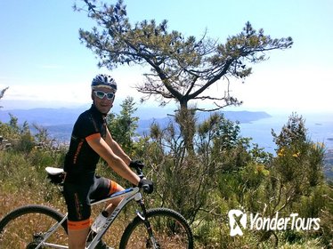 Mountain Bike Tour in the Cinque Terre