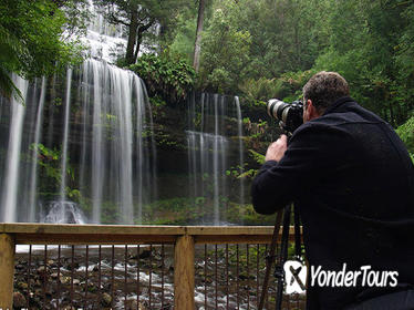 Mt Field and Styx Valley Photography Tour