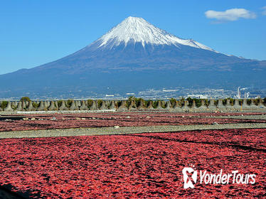 Mt Fuji Private One-Day Tour by Chartered Vehicle from Tokyo Mt Fuji Private One-Day Tour by Chartered Vehicle from Tokyo
