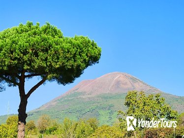 Mt Vesuvius Tour from Sorrento