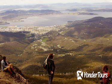 Mt Wellington Guided Summit Hike