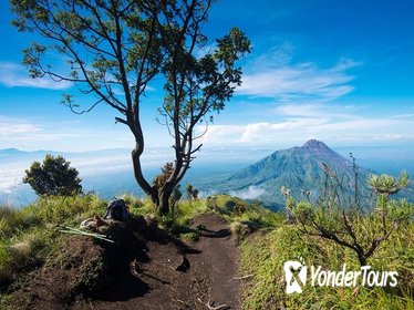 Mt. Merapi Slopes Hiking Day Trip from Yogyakarta