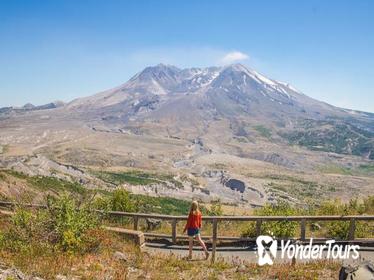 Mt. St. Helens Small-Group Tour from Seattle