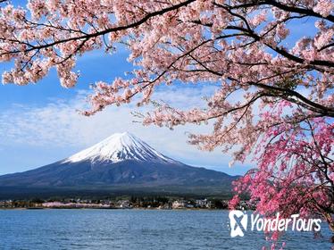 Multi-Day Tokyo, Kyoto, and Osaka Tour