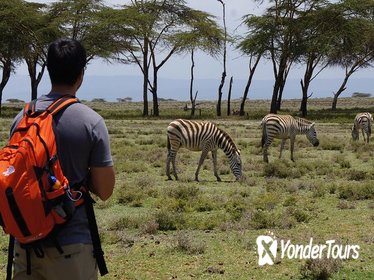 Nairobi Day Trip To Crescent Island Game Park - Lake Naivasha