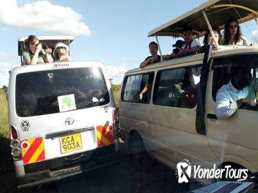 Nairobi National Park Half-Day Tour