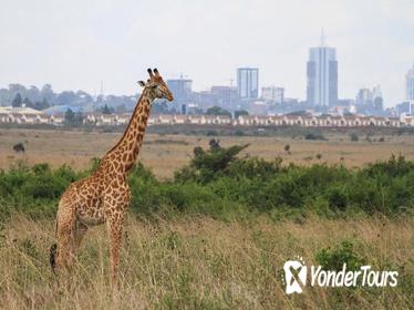 Nairobi National Park, Elephant Orphanage, Giraffe Center and Karen Blixen Museum