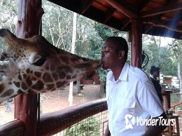 Nairobi Private Small-Group Guided Tour Nairobi Private Small-Group Guided Tour