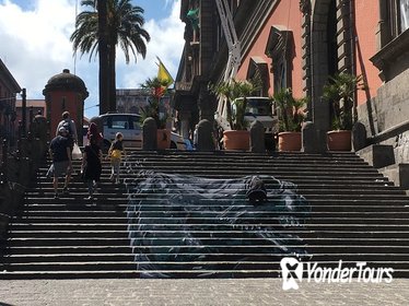 Naples National Archaeological Museum and historical centre private tour