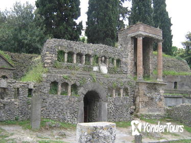 Naples Shore Excursion: Pompeii Half-day Trip from Naples