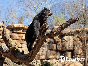 Nashville Zoo Admission Pass