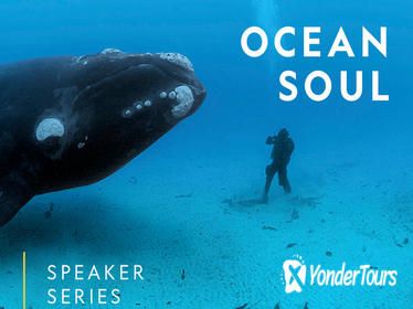 National Geographic Live! Ocean Soul with Underwater Photographer Brian Skerry