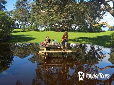 Nature, Ocean and Towns Experience from East to West Coast in Auckland