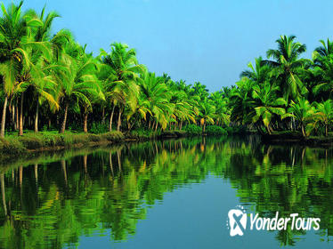 Nautica Kochi Shore Excursion: Alleppey Backwater Houseboat Tour