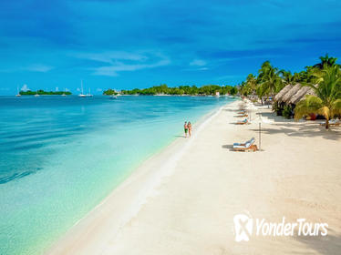 Negril Highlights Private Tour