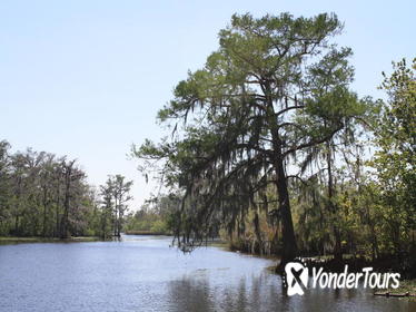 New Orleans Ghost and Gators Combo Tour