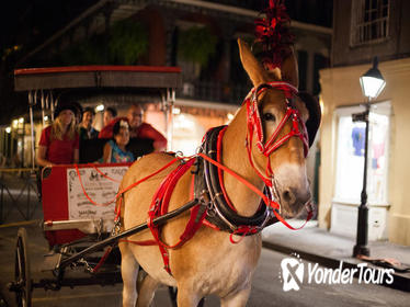 New Orleans Small-Group Haunted History Carriage Tour