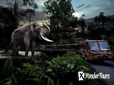 Night Safari Tour in Singapore with Priority Tram Ride