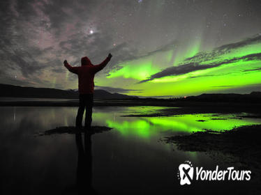 Nightly Aurora Photo Tour in Abisko National Park