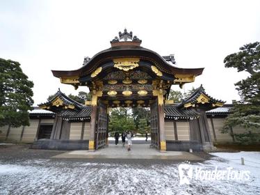 Nijo Castle and Imperial Palace Visit with Private Guide