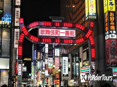 Nocturnal Walking Tour of Shinjuku