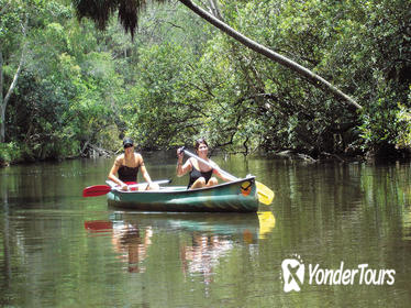 Noosa Everglades Wilderness Cruise with Canoe Trip