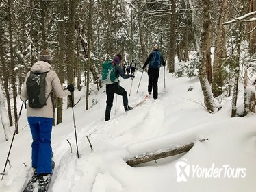 Nordic Backcountry Skiing Tour in Jacques-Cartier National Park
