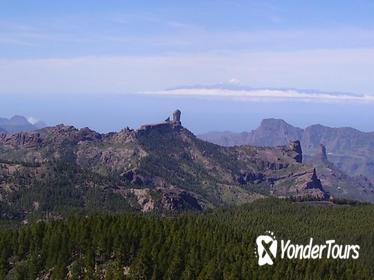 North Gran Canaria Highlights Full-Day Tour from Las Palmas