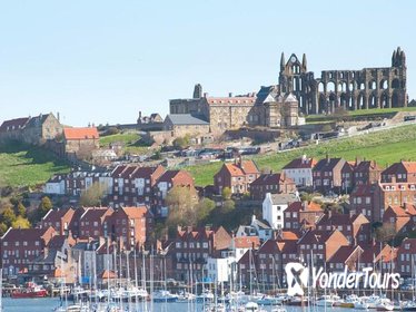 North York Moors and Whitby Day Trip from York