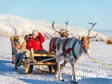 Northern Lights Reindeer Safari from Rovaniemi