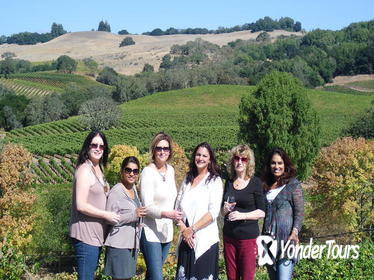 Northern Sonoma Small Group Wine Tour