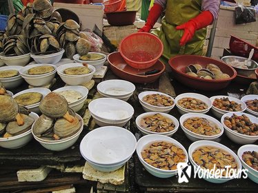 Noryangjin Fish Market and Bike Tour along the Han River