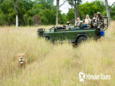 Nottens Bush Camp 4days Safari