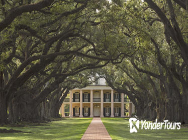 Oak Alley and Laura Plantation Tour with Transportation from New Orleans