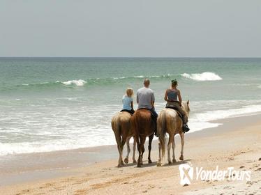 Ocho Rios Shore Excursion: Heritage Beach Horse Ride