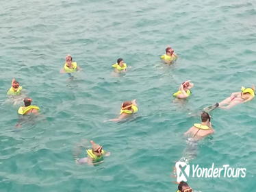 Ocho Rios Shore Excursion: Private Snorkel Tour