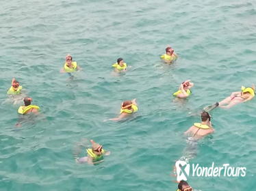 Ocho Rios Shore Excursion: Private Snorkel Tour