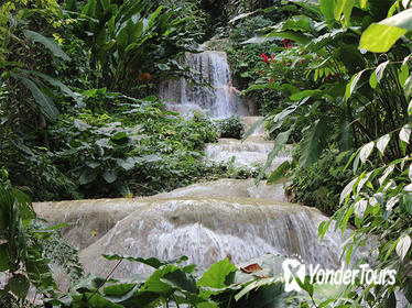 Ocho Rios Sightseeing Garden Tour