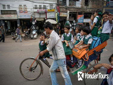 Old Delhi Walking Tour with Authentic Indian Lunch