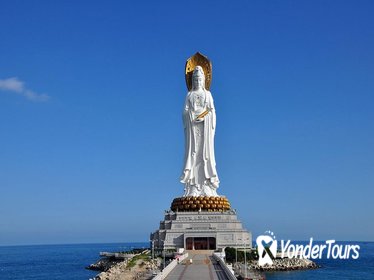 One Day Private Tour of NanShan Temple Including Vegetarian Buffet Lunch